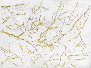 Golden Organic Texture by Alyson Storms