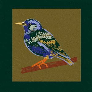 Vibrant Starling Perch by Alyssa Hamilton