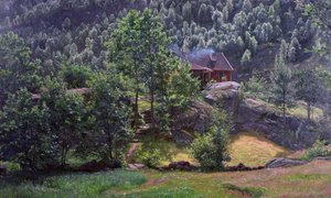 A smallholding