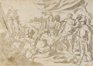 Drawing by Amalfi, Carlo