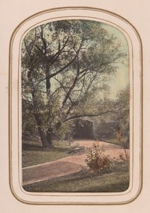 Carte-de-visite Album of Central Park Views by Ambrose Jackson
