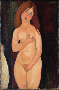 Venus or Standing Nude or Nude Medici