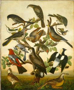 Birds by American 19th Century