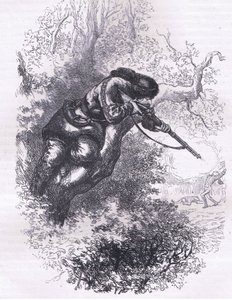American marksman up a tree, illustration from Cassells History of the United States by American English school