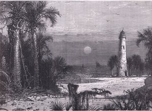 View of the coast of Florida, illustration from Cassells History of the United States published by Cassell, Petter & Galpin, c.1900 by American English school