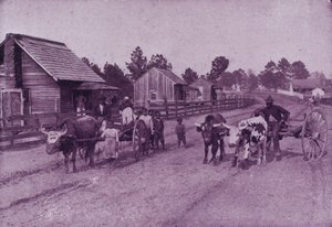 A village scene of happy content in Virginia by American Photographer (after)