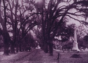 Bonaventure Cemetery, Savannah, Georgia