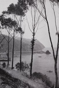 California: Bay of Avalon, Santa Catalina Island, magic play-land on the Pacific Ocean 30 miles from the Southern California mainland by American Photographer (after)