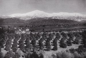 California: Redlands, from Smiley Heights, sunshine, orange groves, and snowy peaks by American Photographer (after)
