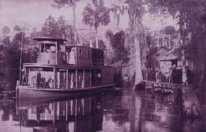 On the Ocklawaha River, Florida