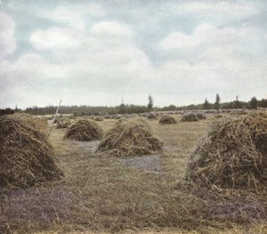 Oregon: Alfalfa by American Photographer (after)