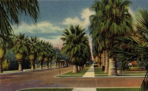 Phoenix, Arizona: North Central Avenue