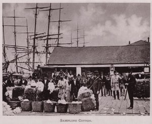 Sampling Cotton by American Photographer (after)