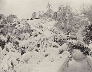 Winter Foliage on Luna Island by American Photographer (after)