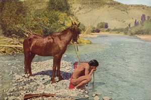 Apache Warrior, Rio Navaho, Arizona