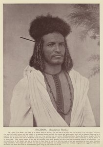Bachara, Sudanese Sheik