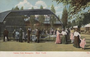 Central Park Menagerie, New York by American Photographer