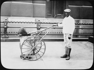 City Street Cleaner, Philadelphia, c.1920