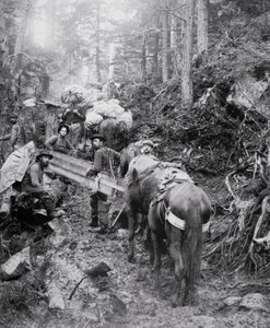 Climbing the Dyea Trail on the way to the Chilkoot Pass during the Klondike Gold Rush (1897-98) by American Photographer