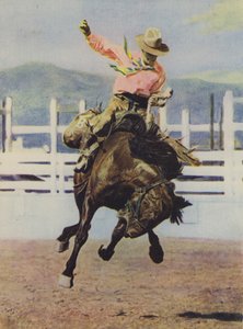 Cowboy Breaking in a Horse