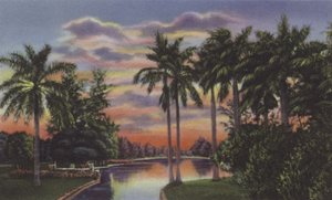 Lake at Country Club Park