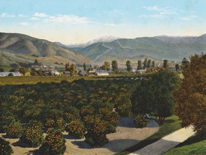 Old Baldy from Pomona Valley by American Photographer