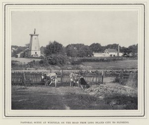 Pastoral Scene at Winfield, on the Road from Long Island City to Flushing by American Photographer