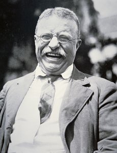President Theodore Roosevelt, c.1917 by American Photographer