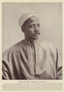 Sied Affende, Egyptian Camel Boy