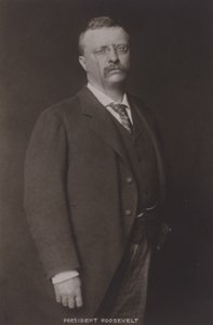Theodore Roosevelt, 26th President of the United States, 1904 by American Photographer