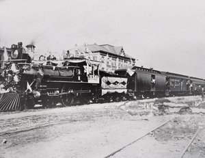 Train with flags