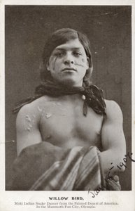 Willow Bird - Moki Indian Snake Dancer from the Painted Desert of America