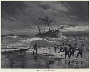 A Rescue along the Sound by American School