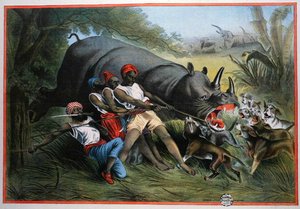 A Rhinoceros Hunt