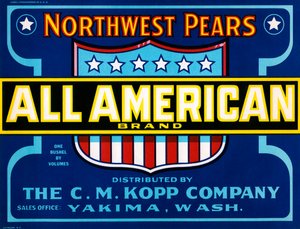 All American Brand Fruit Crate Label by American School