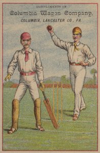 American Cricket by American School