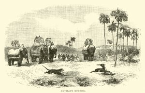 Antelope Hunting by American School