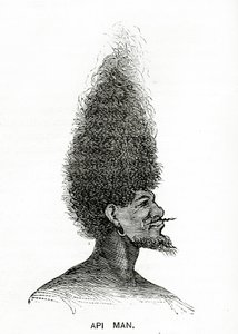 Api Man, Illustration from Appletons Journal, May 4, 1872 by American School