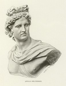 Apollo Belvedere by American School