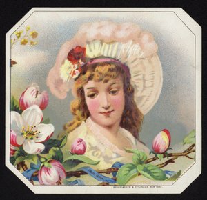 Attractive Lady by American School