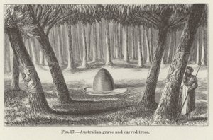 Australian Grave and Carved Trees by American School