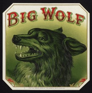 Black Wolf Baring Teeth by American School