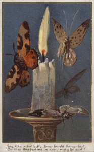 Butterflies Around a Burning Candle by American School