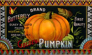Butterfly Golden Pumpkin Product Label by American School
