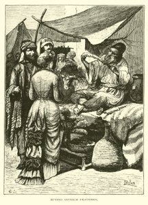 Buying Ostrich Feathers
