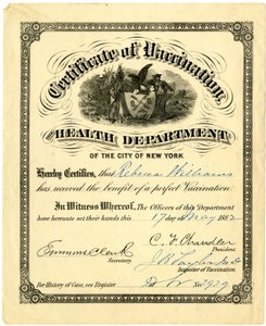 Certificate of Vaccination, the Health Department of the City of New York..., 1882 by American School