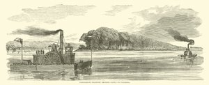 Confederate transport bringing cattle to Vicksburg, February 1863