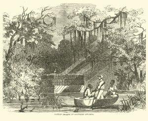 Cotton hoards in Southern Swamps, July 1862 by American School