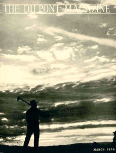 Farmer in Field