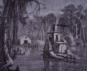 Florida Everglades Scene by American School